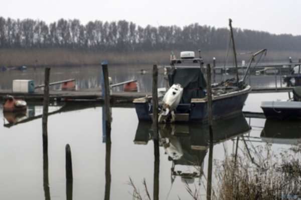 Pescatore condannato per furto di vongole dalla nursery