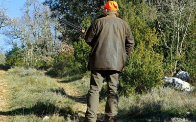 Da Comacchio al Parlamento europeo: la sfida contro la caccia per divertimento