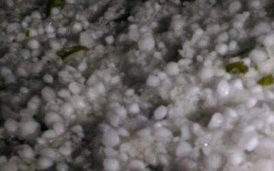 Partiti i bonifici relativi ai rimborsi per i danni da grandine