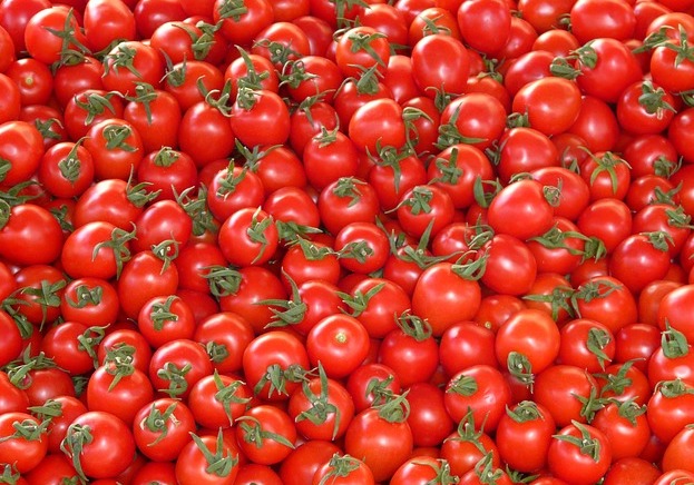 Fallimento Ferrara Food, in bilico il destino di dodici lavoratori