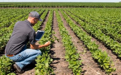 Agricoltura pilastro dell’economia ferrarese tra occupazione, valore aggiunto ed export