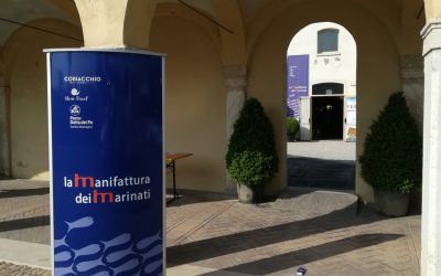 Al via nelle scuole “Delta Visions – Storie e immagini dal Delta del Po”