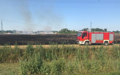 Incendio durante la mietitura nel Mezzano, in fiamme un vasto campo di grano