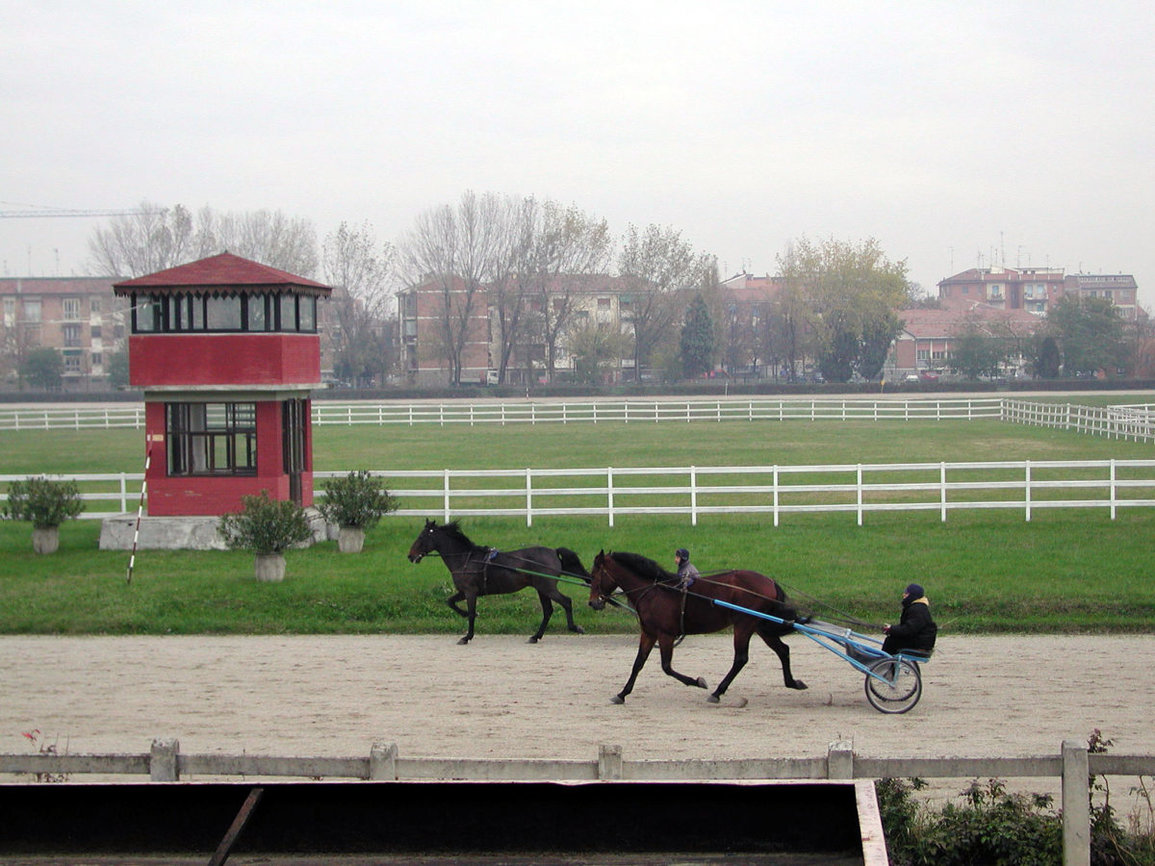 Ippodromo cambia gestione e galoppa verso i lavori di riqualificazione