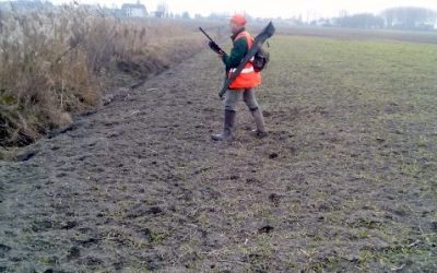 Uccise il suo cane con un colpo di fucile. Il giudice lo assolve