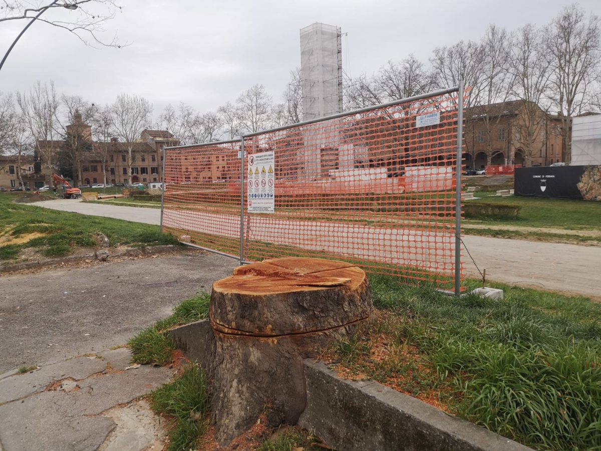 Piazza Ariostea, alberi abbattuti per rifare le gradonate