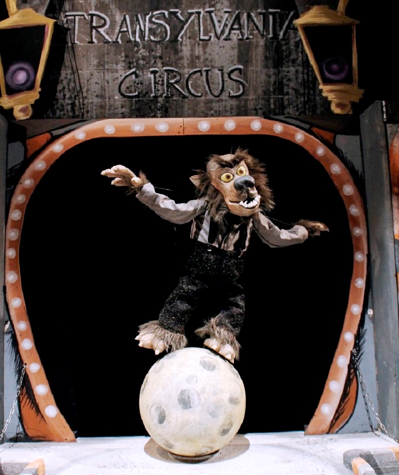 Transylvania Circus a Lido di Volano, nuova data per Teatri sull'Acqua |  estense.com Ferrara