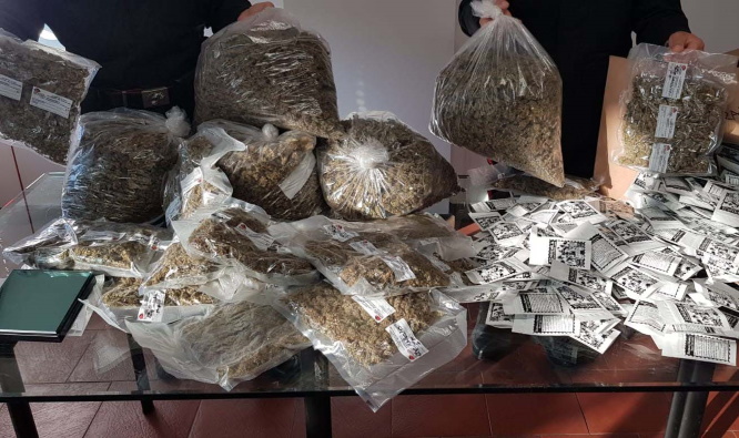 Tutti quei chili di cannabis erano solo ‘marijuana light’: assolti