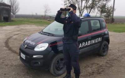 Mattanza di daini in un agriturismo dell’Alto Ferrarese