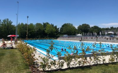 Piscina Bacchelli: Pool 4.0 in liquidazione ma la gestione è garantita