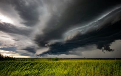 Temporali in arrivo, allerta gialla su Ferrara e provincia