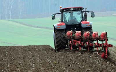 Dalla Regione oltre 56 milioni di euro nel 2026 per agricoltura e agroalimentare