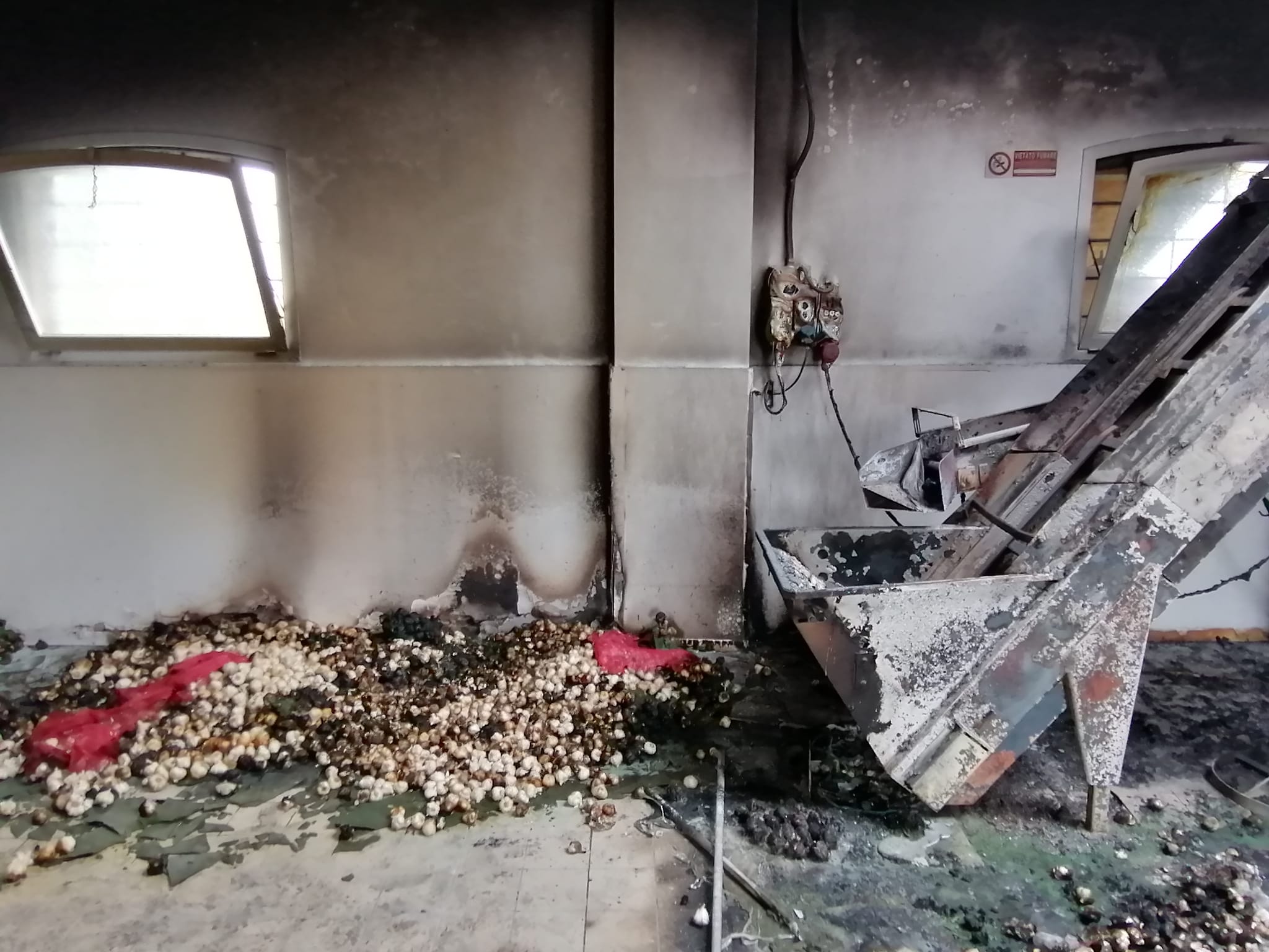 Atto vandalico ai danni dell'azienda Le Aie | estense.com Ferrara - Vimarsana News
