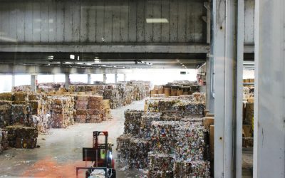 Cartiera di Mesola, fine di un’epoca: chiusura definitiva il 31 dicembre