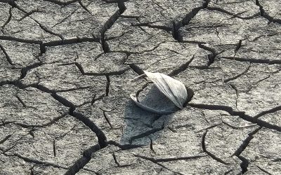 Cambiamenti climatici, non più emergenza ma condizione strutturale
