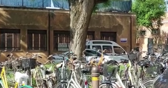 Taxi per disabili in officina, ma non sempre è vero