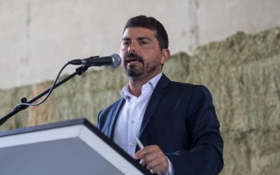 Danni da maltempo all’agricoltura. La Regione al Governo: “Deroga per attivare risorse nazionali”