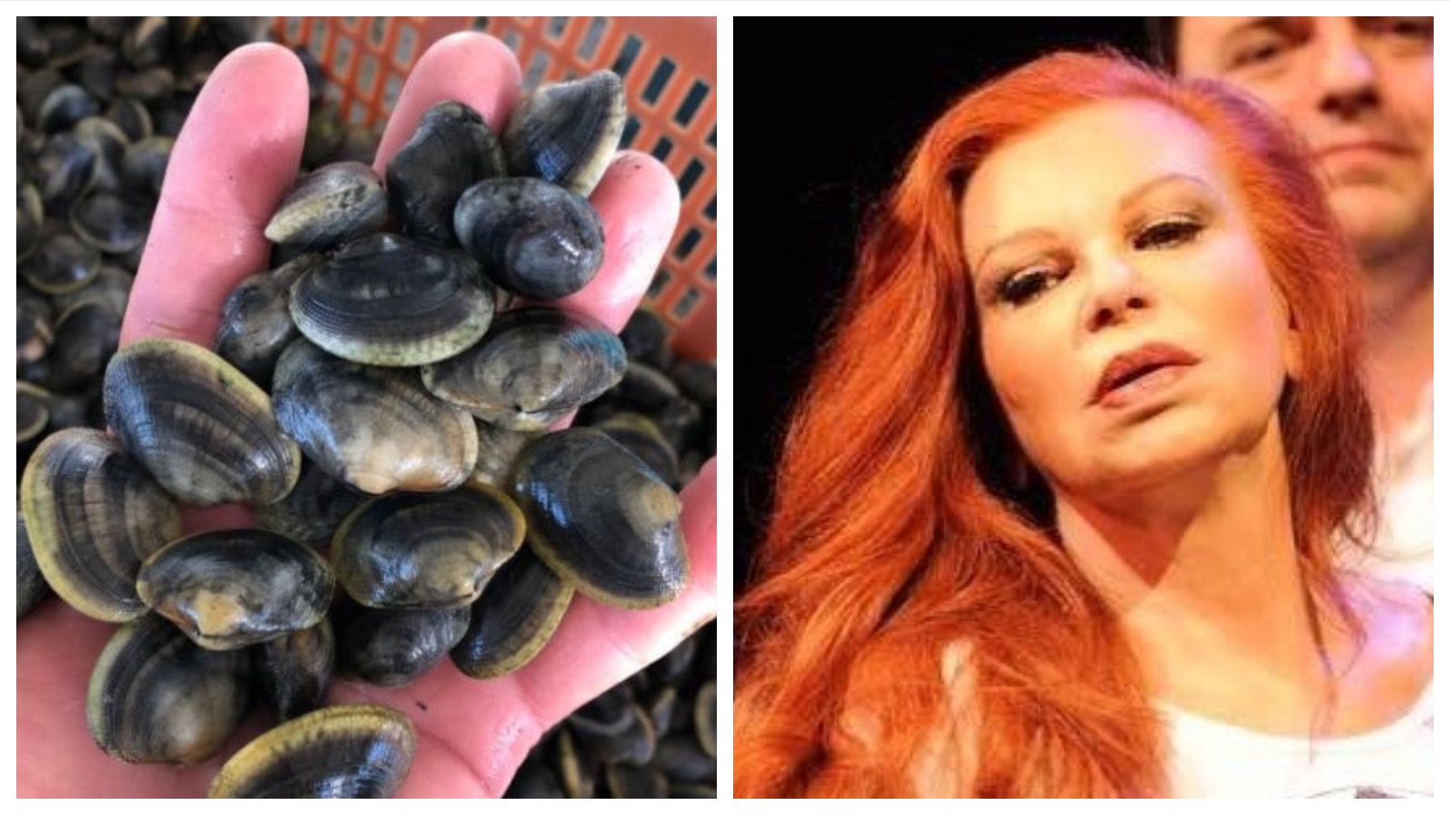 Goro vince il ‘bando borghi’: nasceranno i musei della vongola e di Milva