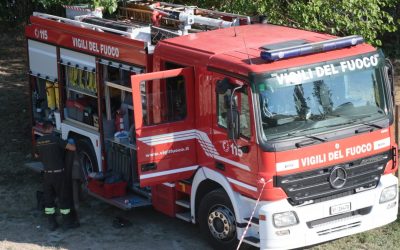 Cavallo cade in un canale a Pomposa: salvato dai Vigili del Fuoco