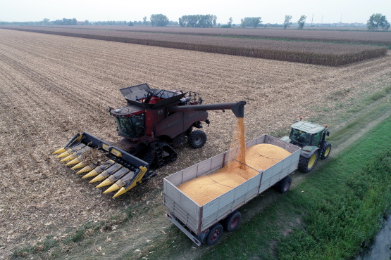 Agricoltura. Dalla Regione nuovo bando da 28 milioni