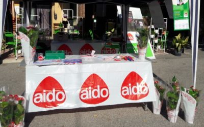 La cultura della donazione scende in piazza a Codigoro