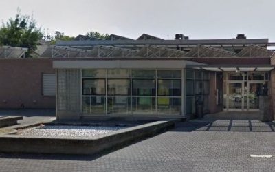 “Erbaria”: mostra di Debora Pugliesi alla Bassani