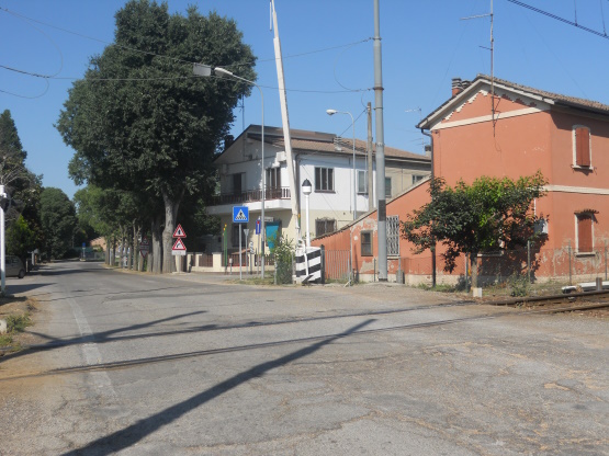 Alberi lungo via Rondona, polemica sulla sicurezza e sui costi