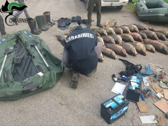 Pescatori di frodo in “Valle Santa”, Fipsas e Bonifica Renana parti civili