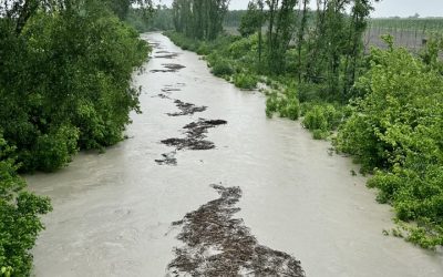 Allerta meteo gialla nel Ferrarese: attenzione ai livelli dei fiumi