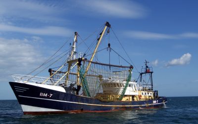 Pesca professionale, via libera alla deroga in Emilia-Romagna