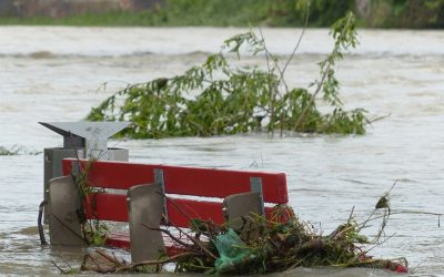 Bilancio 2026 tra crescita e rallentamento: la Regione punta su sanità e investimenti