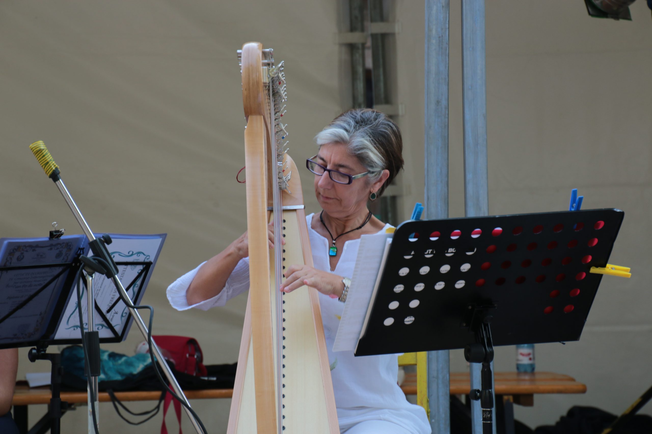 La magia dell’arpa per “Buona domenica in Musica”