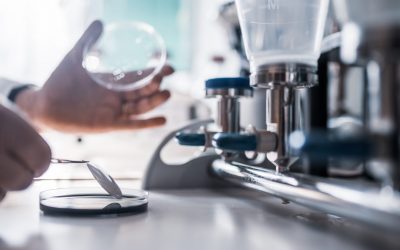 Legionella nella rete idrica di quattro scuole