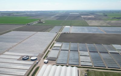 Braccianti agricoli morti. Salvi: “Increduli. Alle famiglie tutto il nostro supporto”