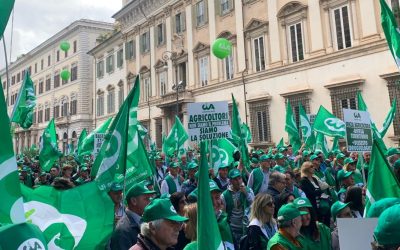 “I conti non tornano”: gli agricoltori di Cia in presidio a Roma