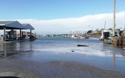 Mareggiate. A Goro e Gorino chiusi i varchi di ingresso ai porti