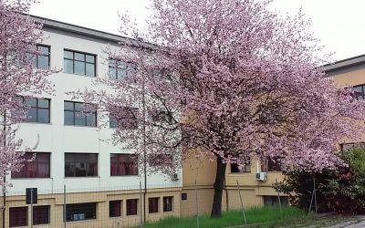 Scuola e Futuro: l’Iis “G. B. Aleotti” di Ferrara presenta gli Open Day e i laboratori orientativi
