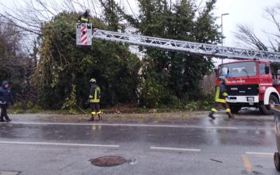 Forte vento, tanti gli alberi caduti. Disagi in super