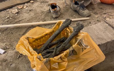 Ossa umane ritrovate durante i lavori al Conservatorio