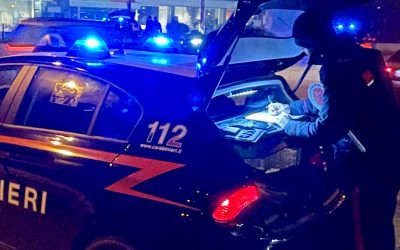 Mitraglietta rubata ai carabinieri. Perquisizioni nell’Argentano