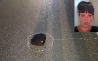 Falciata e uccisa a Longastrino. Aperta un’inchiesta per omicidio stradale