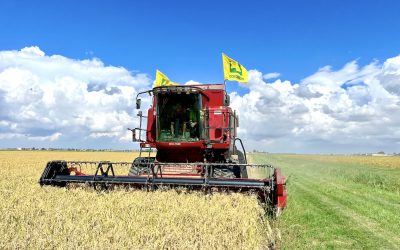 Giovani Coldiretti. Parte il progetto formativo