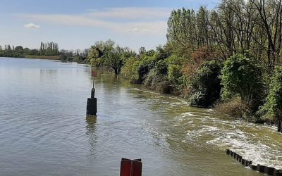 Contratto di area umida per il Volano: percorso partecipativo nella fase conclusiva