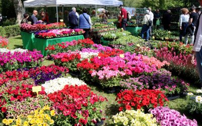 Giardini Estensi torna a Ferrara tra natura, cultura e sostenibilità