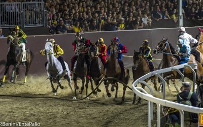 Palio di Ferrara 2026, le regole per la vendita e il consumo di bevande nella zona di piazza Ariostea