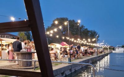 Schiamazzi in Darsena, scatta l’interpellanza