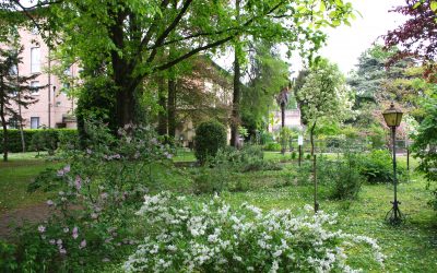 Il dialogo silenzioso con il verde domestico