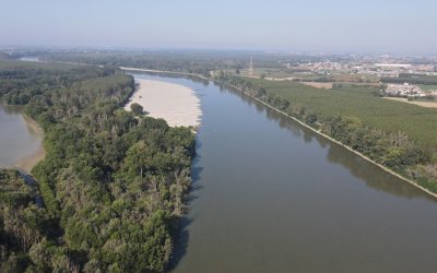 “Disco verde” per il Po. Nessuna criticità e acqua disponibile su tutto il distretto