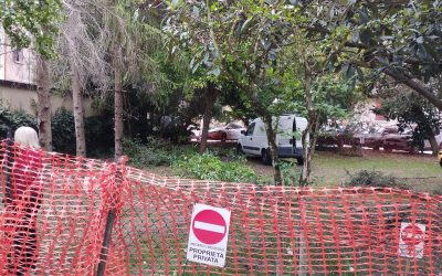 Parcheggi al posto degli alberi per venderli a un privato. Zonari: “Gravissimo”