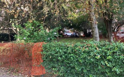 Dal cortile comune a 17 posti auto in via Fiume: “Non ci sono le autorizzazioni”